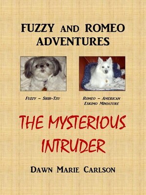 cover image of The Mysterious Intruder